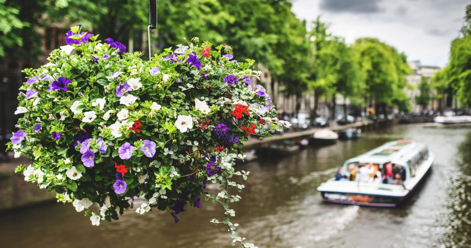 Get Lost in Jordaan: Amsterdam’s Artsy Soul