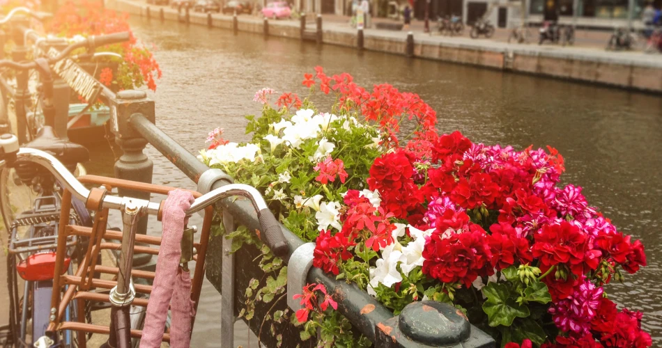 Get Lost in Jordaan: Amsterdam’s Artsy Soul