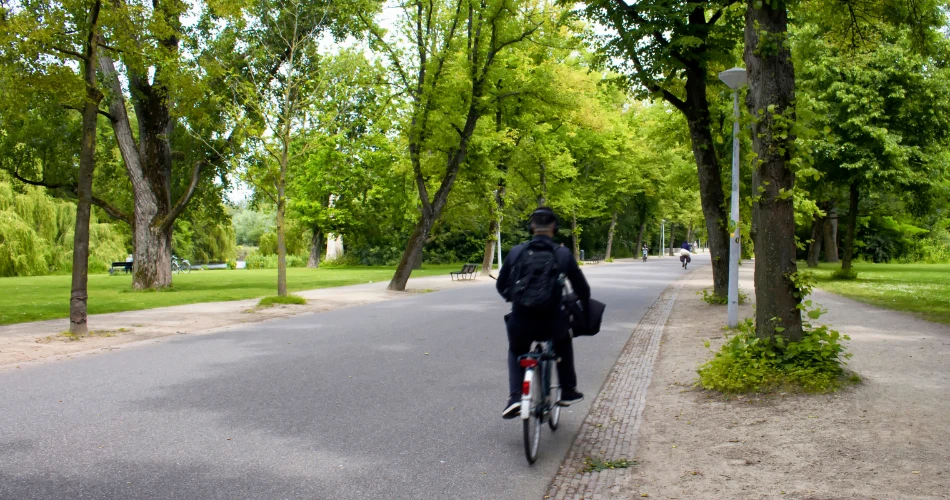 Picnic & People-Watching at Vondelpark