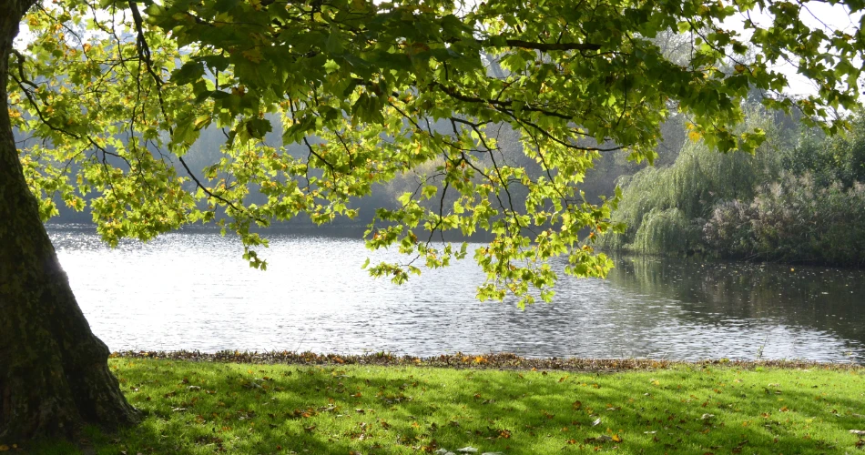 Picnic & People-Watching at Vondelpark